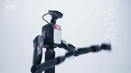 02-TRON 2高自由度双臂.gif
